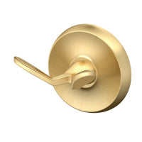 Brushed Brass